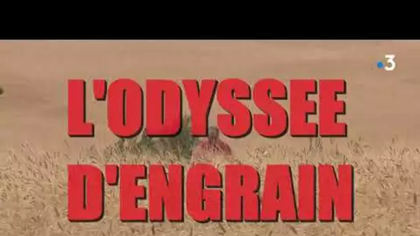 EPISODE  #5 - L'odyssée d'Engrain - Reportage