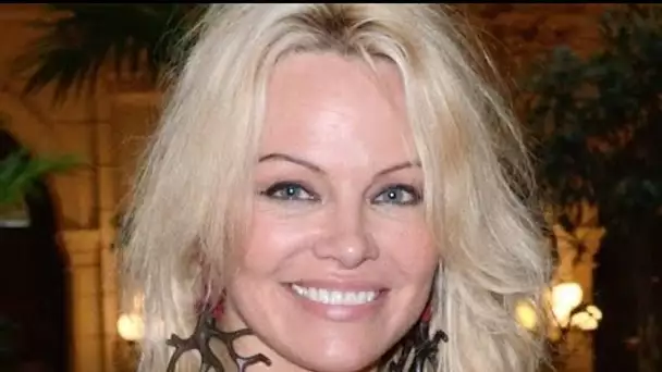 Pamela Anderson : Un décolleté très plongeant pour incendier Instagram !