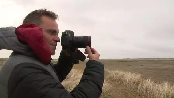 Frank Hélin, photographe Baie de Somme