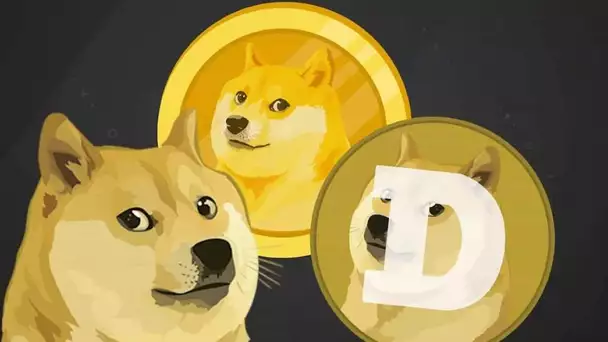 Elon Musk l'annonce, Tesla va accepter le DogeCoin !