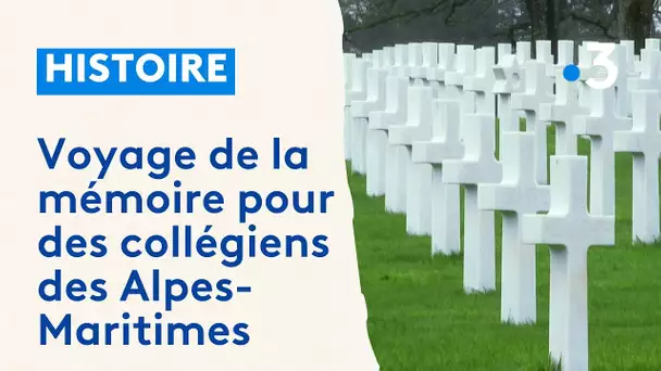 Des collégiens des Alpes-Maritimes face à l'histoire de la 2e guerre mondiale en Normandie
