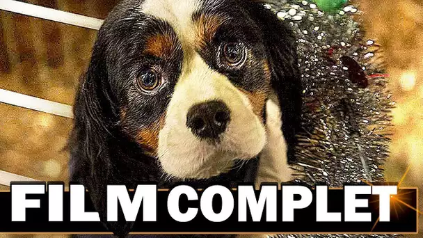 Un Incroyable Talent - FILM COMPLET en Français (Famille, Enfant, Chien)