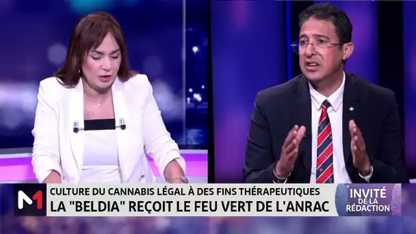 Zoom sur la culture du cannabis légal avec Redouane Rabii