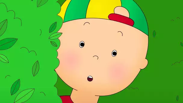 Caillou et le Labyrinthe | Caillou en Français