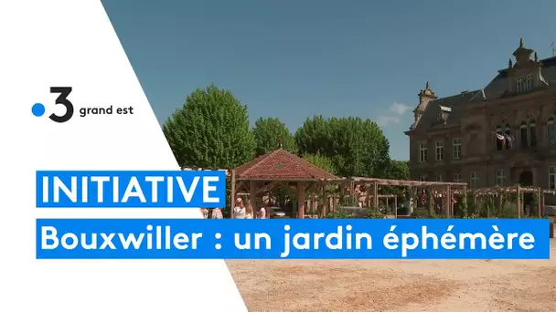 À Bouxwiller, la place du Château se pare de vert