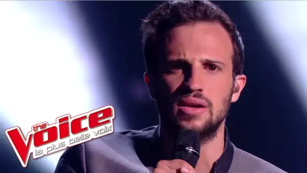 Marvin Dupré - « Le Paradis Blanc » (Michel Berger) | The Voice France 2017 | Live