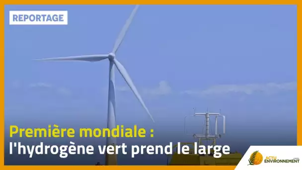 Première mondiale : l'hydrogène vert prend le large