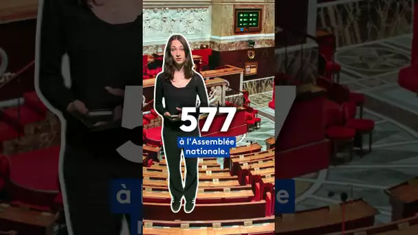 Comment ça marche les élections législatives ? On vous explique. #electionslegislatives2024