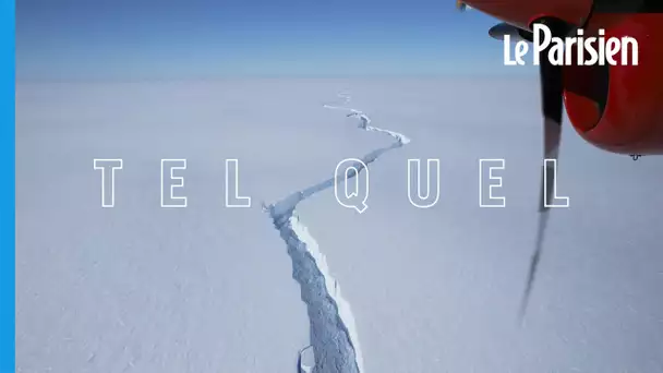 Antarctique : un iceberg géant se détache du reste de la banquise