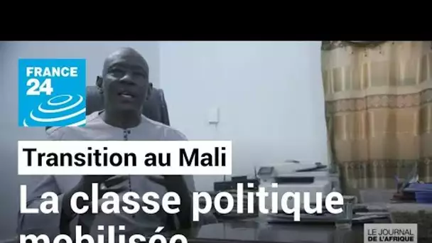 Transition au Mali : la classe politique se mobilise et appelle à la désescalade • FRANCE 24