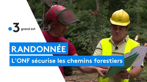 Randonnée : l'ONF sécurise les chemins forestiers