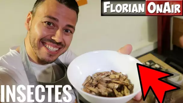 INSECTES: je mange des PÂTES aux CRIQUETS et aux GRILLONS! - VLOG #595