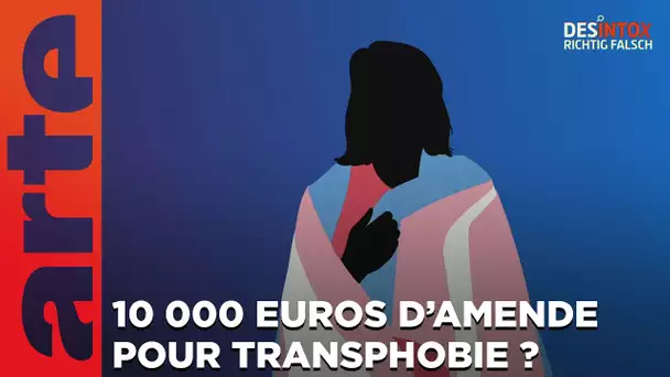 10 000 euros d’amende pour transphobie en Allemagne ? Désintox | ARTE