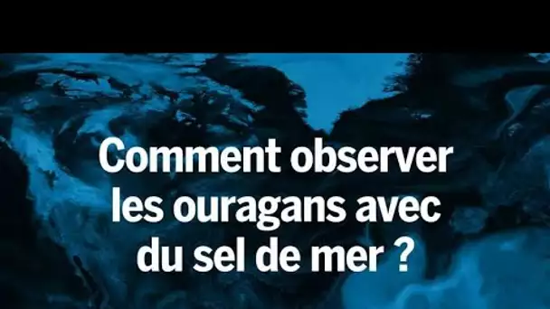 Comment observer les ouragans avec du sel, du sable et de la fumée ?