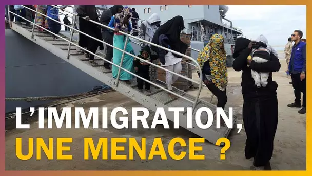 L&#039;immigration menace-t-elle la démographie française ?
