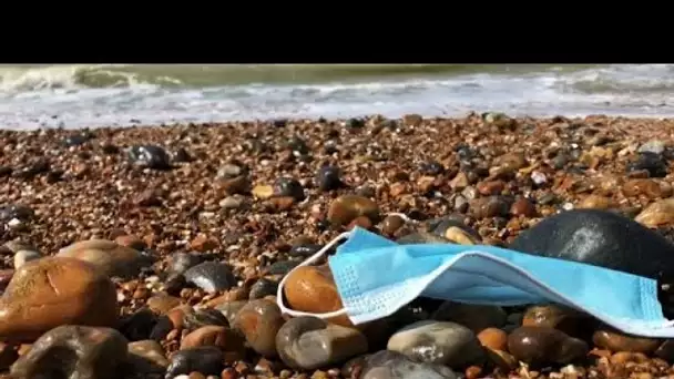 La mer et son littoral victimes des "déchets covid"