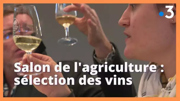 Salon de l'agriculture : la sélection des vins de Provence
