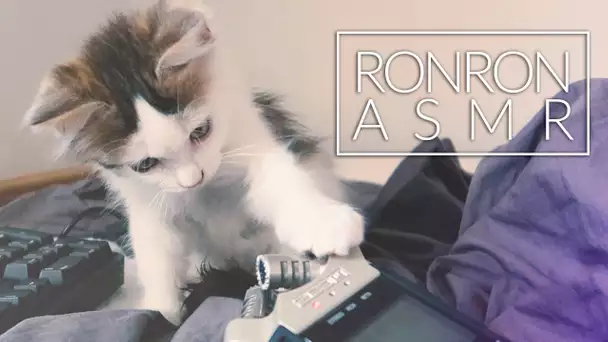 ASMR RONRON 🐈 mon chat ronronne dans vos oreilles 😍