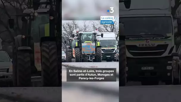 Colère des agriculteurs : A6 et A19 bloquées, occupations de ronds-points.. les actions en Bourgogne