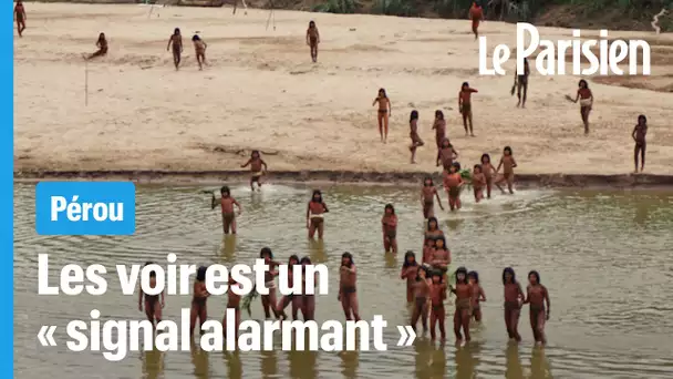 À cause d'un pont en construction, la tribu la plus isolée du monde est en danger
