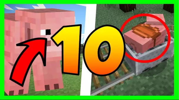 LE SAVIEZ VOUS ? 10 SECRETS SUR LES COCHONS MINECRAFT