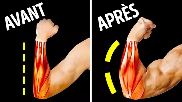 14 Exercices pour avoir des avant-bras plus gros