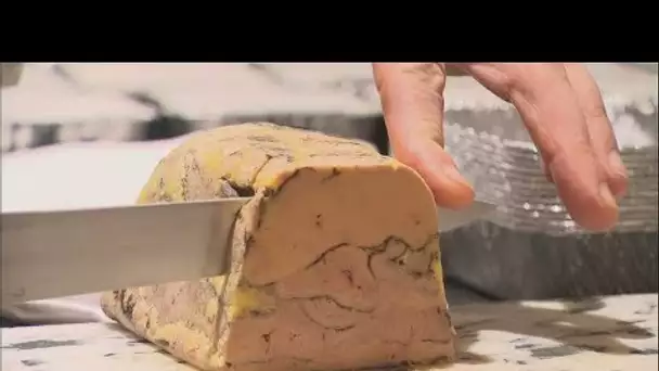 Le foie gras, une spécialité française de plus en plus contestée • FRANCE 24