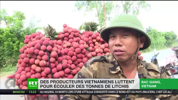 Des producteurs vietnamiens luttent pour écouler des tonnes de litchis