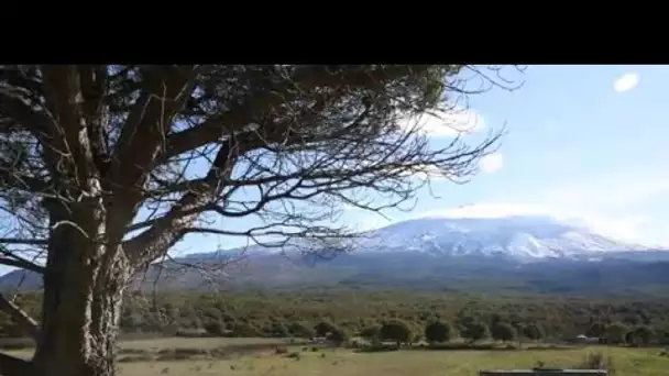 MEDITERRANEO – En Sicile, la Circumetnea que l’on peut traduire par  « autour de l’Etna »