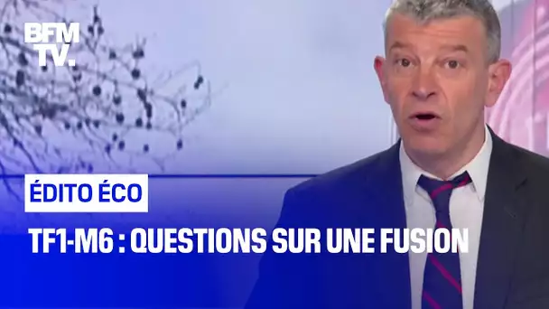 TF1-M6 : questions sur une fusion