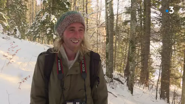 Feuilleton : la forêt dans tous ses états 4/4