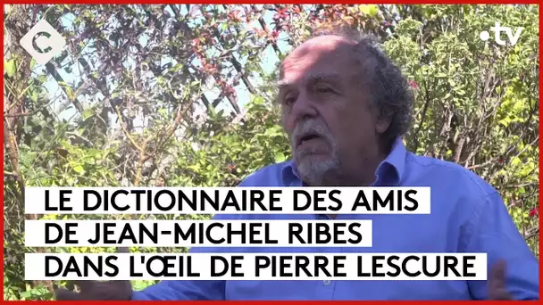 Le dictionnaire des amis de Ribes - L’Oeil de Pierre - C à Vous - 05/09/2023