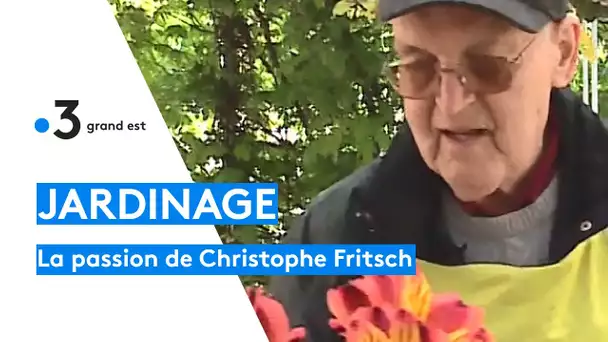 Christophe Fritsch, la passion des fleurs à l'Ehpad de Kunheim