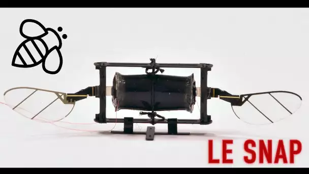 Le Snap #28 : des drones de la taille d'insecte qui s'infiltreraient partout