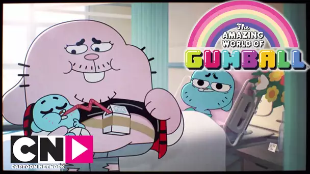 L&#039;histoire de la famille | Le Monde Incroyable de Gumball | Cartoon Network