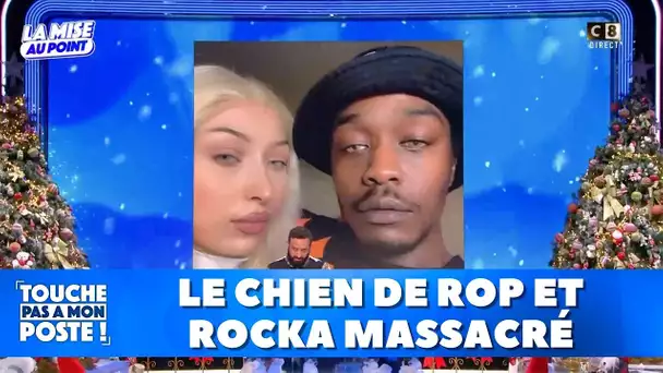 TPMP Rewind: La bourde de TF1 qui a arrêté le match des bleus avant la fin, un chien massacré...