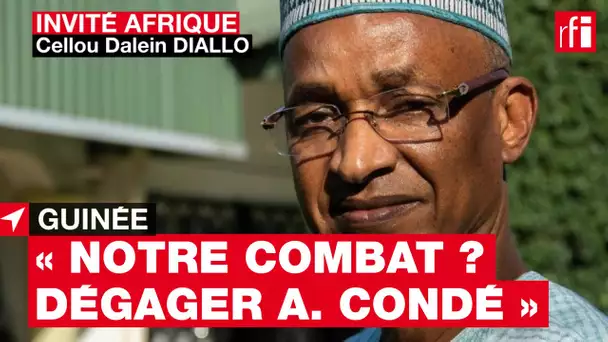 Cellou Dalein Diallo : « Notre combat consiste à dégager Alpha Condé » #Guinée