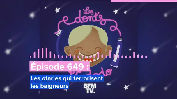 Les dents et dodo - “Épisode 649 : Les otaries qui terrorisent les baigneurs”