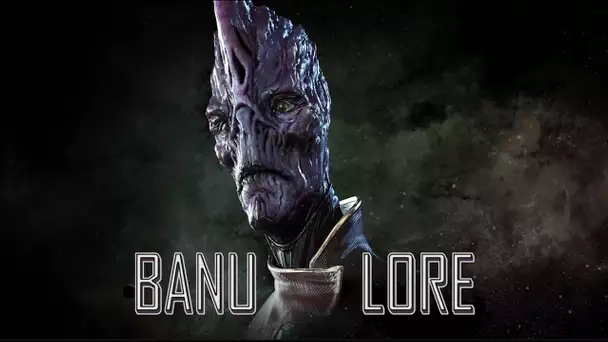 Star Citizen LORE : Banu et Banu Defender.