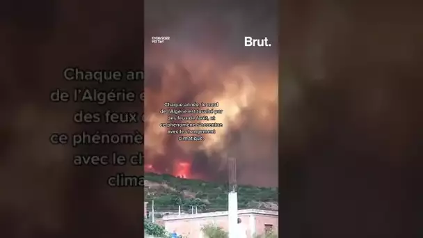 Au moins 38 morts dans de violents incendies en Algérie