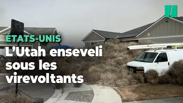 L'Utah envahi par les tumbleweeds, ces herbes sèches qui virevoltent