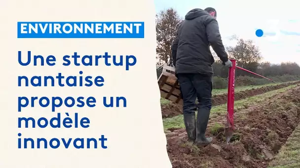 Gestion des forêts privées : la startup nantaise Neosylva propose un modèle innovant