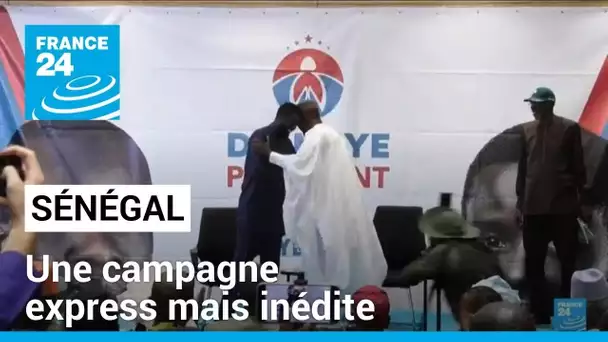 Sénégal: la libération d’Ousmane Sonko et de Bassirou Diomaye Faye relance la campagne