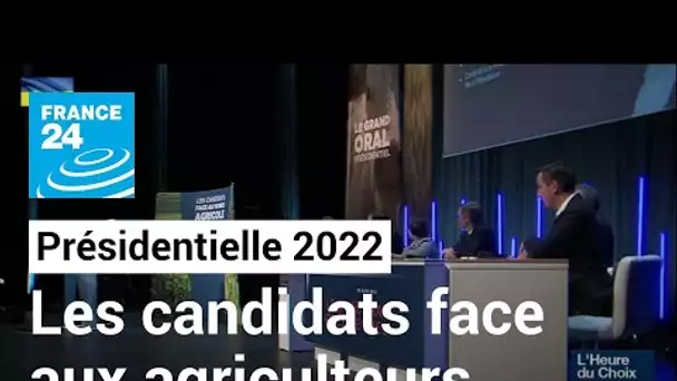 Présidentielle 2022 à J-11 : les candidats convoitent les agriculteurs • FRANCE 24