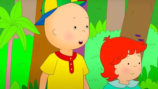 Caillou dans la Jungle | Caillou en Français