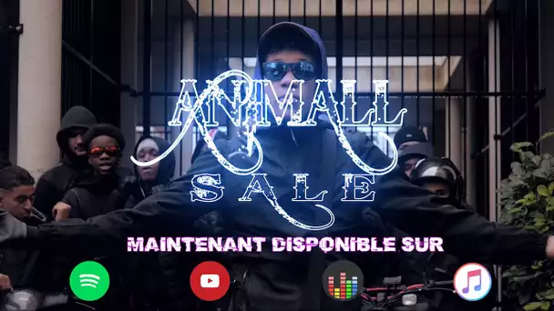 Animall - Sale I Daymolition