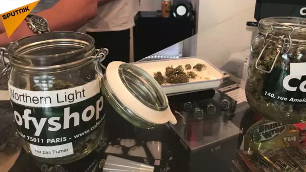 Cofyshop : la boutique qui vend du cannabis à Paris déchaîne les passions