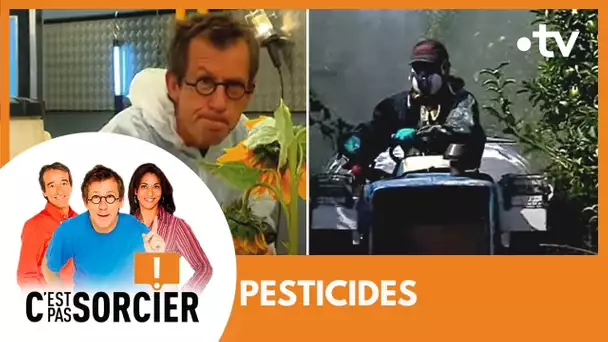 PESTICIDES - C'est pas sorcier [Intégrale]