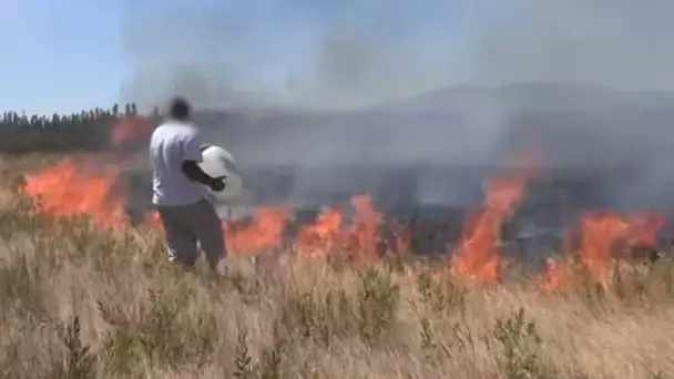 Il tente de repousser tout seul l'incendie pour sauver ses chiens