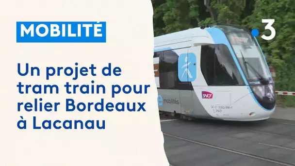Un projet de tram train pour relier Bordeaux aux plages de Lacanau
